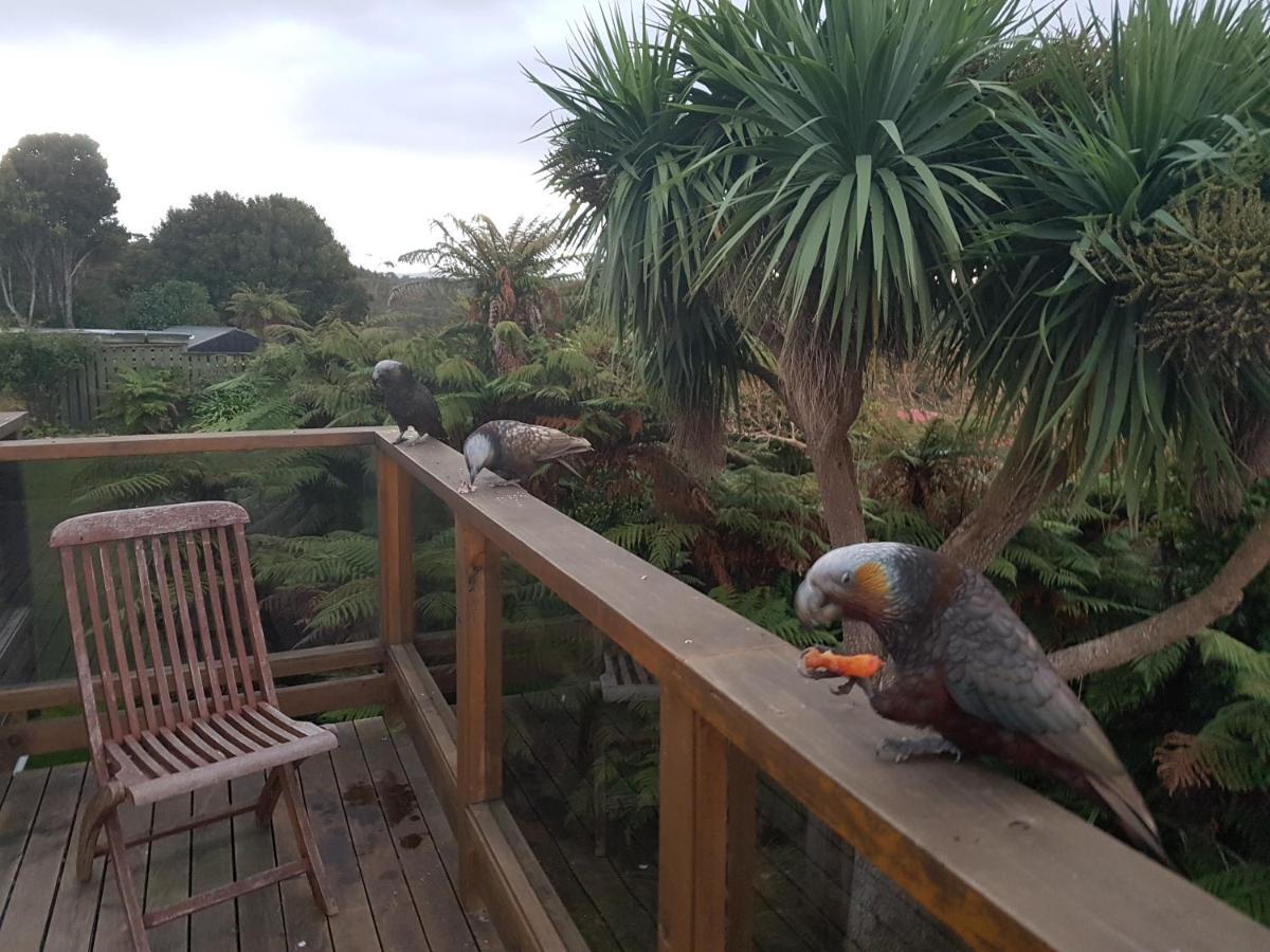 Ponga B&B Half-moon Bay Экстерьер фото