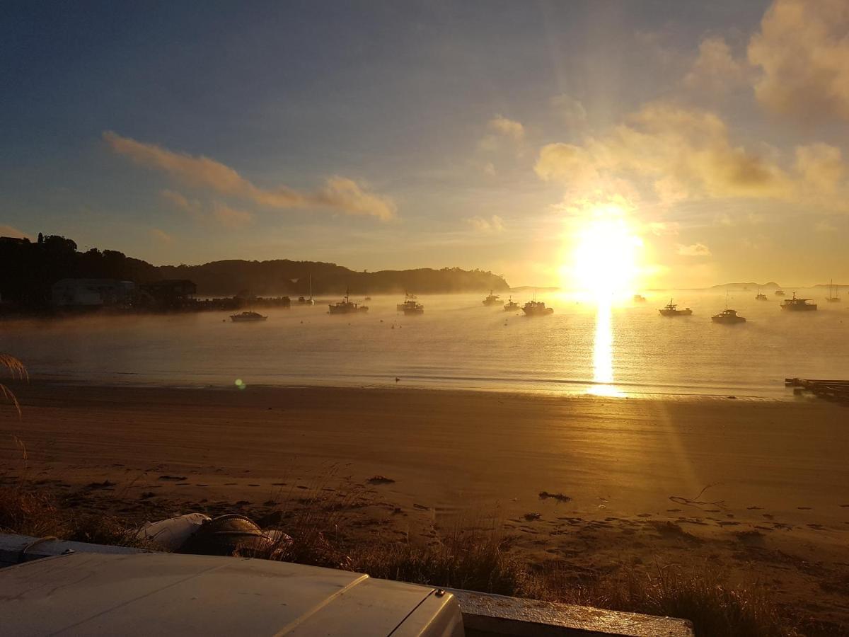 Ponga B&B Half-moon Bay Экстерьер фото