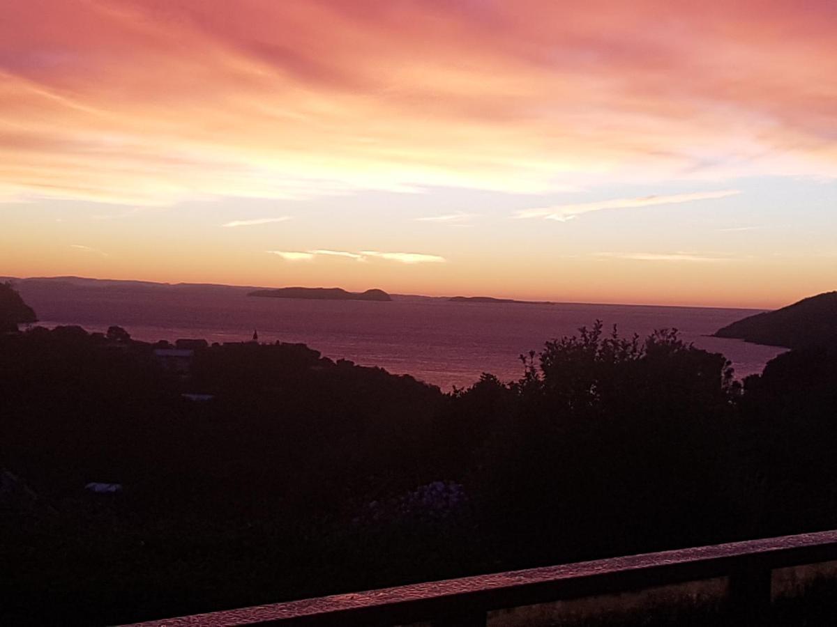 Ponga B&B Half-moon Bay Экстерьер фото